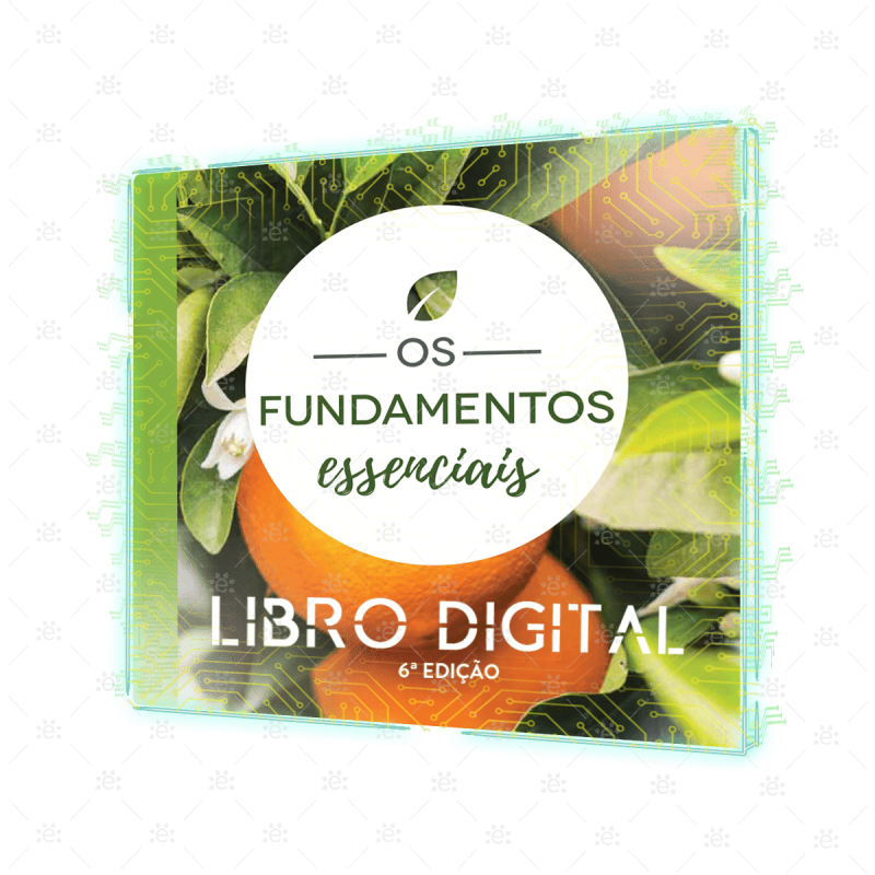 Os Fundamentos Essenciais 6ª Edição Português [Livro Digital]