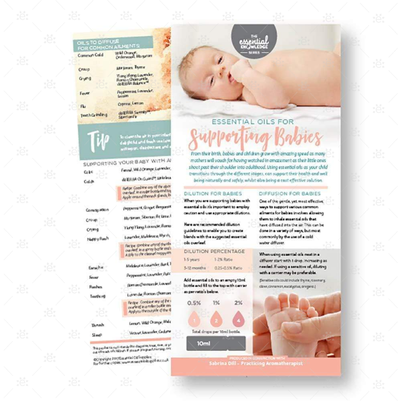 Essential Knowledge Series: Supporting Babies Rack Card (Single) Cards